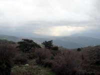 Bornova Çamiçi Köyü