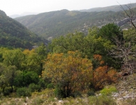 Kaz Dağı