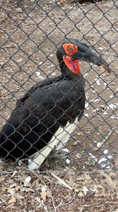 Tracy Aviary