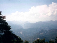 CAL0052023