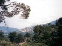 CAL0052024