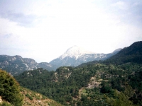 CAL0052025