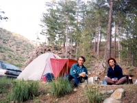 CAL0052026