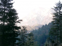 CAL0052127