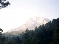 CAL0052128