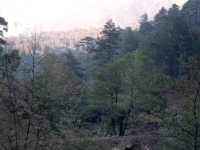 CAL0052129