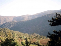 CAL0052130