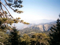 CAL0052133
