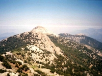 CAL0052141