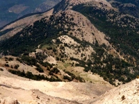 CAL0052142
