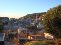 DSC07910
