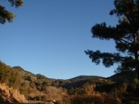 DSC07915