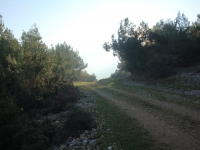 DSC07951