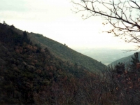 OREN9512102