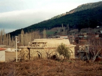 OREN9512106KAMBERLER