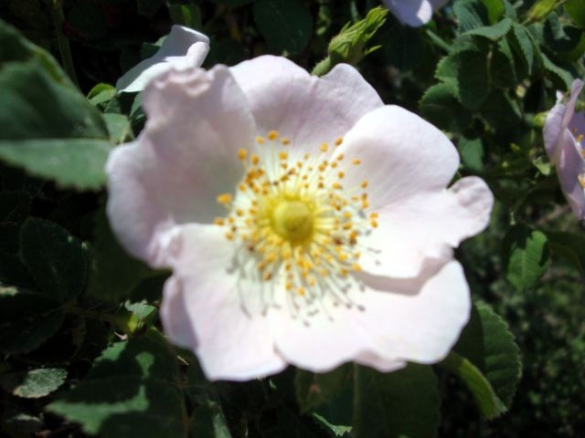 DSC01471.JPG