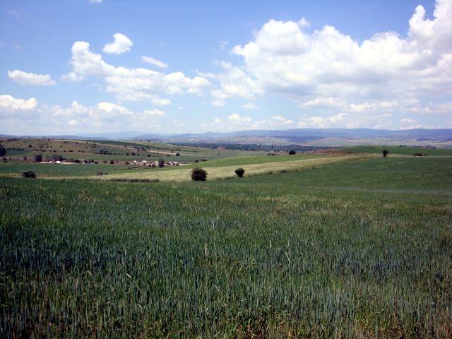DSC01480.JPG