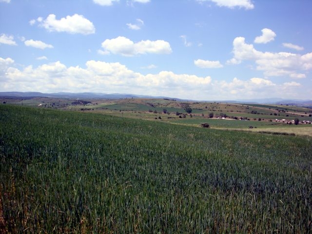 DSC01481.JPG