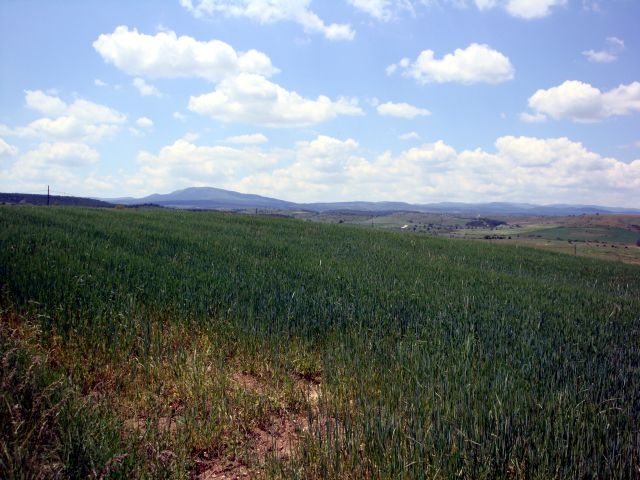 DSC01482.JPG