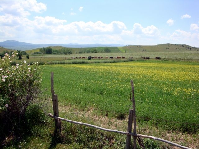 DSC01486.JPG