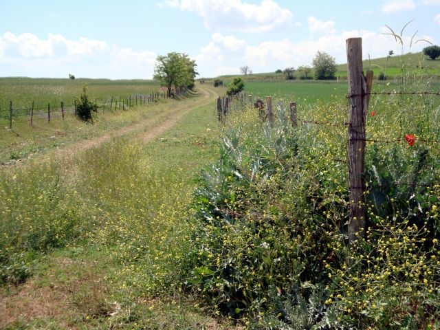 DSC01498.JPG