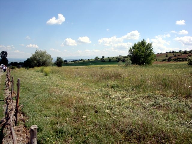 DSC01507.JPG