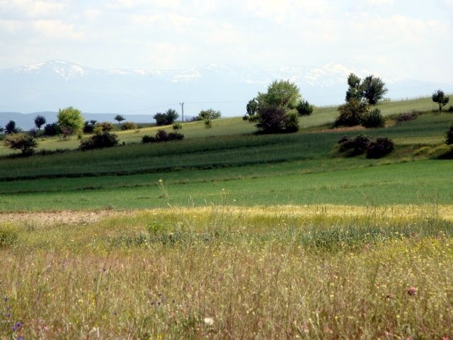 DSC01508.JPG