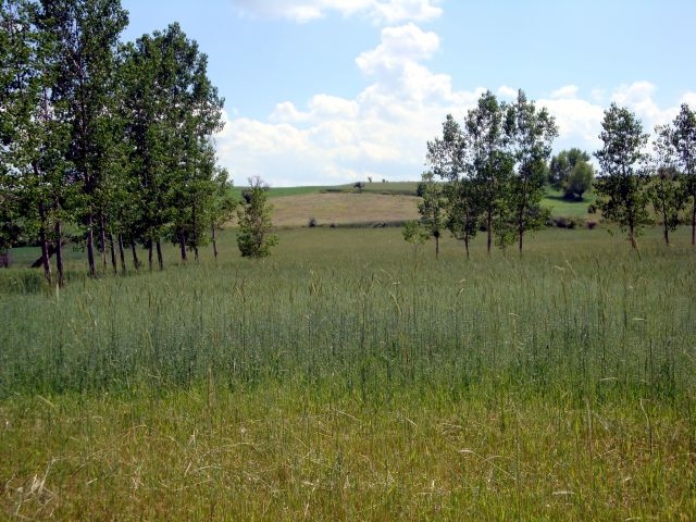 DSC01509.JPG