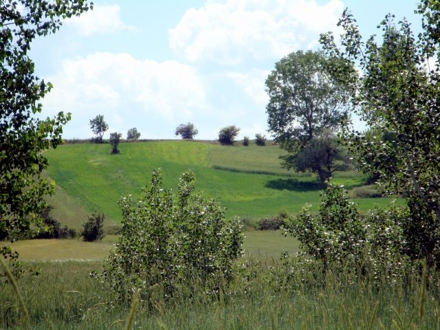 DSC01510.JPG