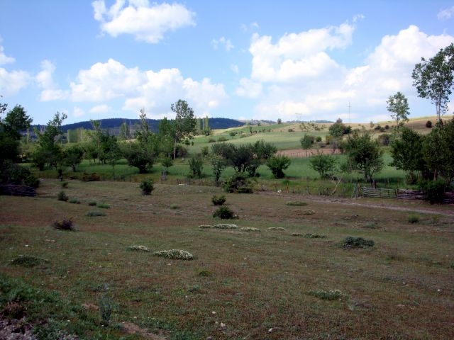 DSC01512.JPG
