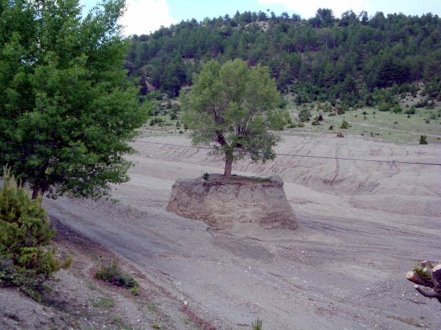 DSC01514.JPG