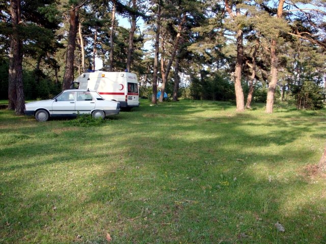 DSC01520.JPG