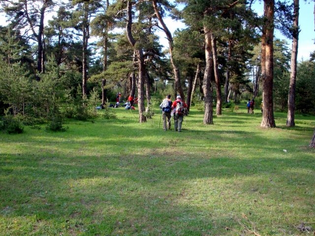 DSC01521.JPG