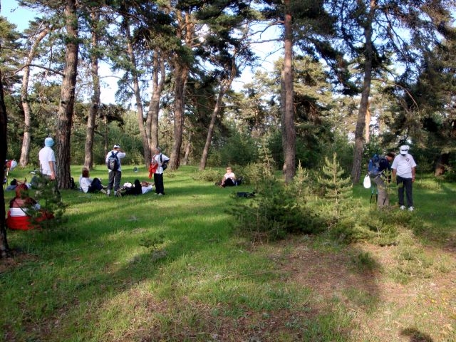 DSC01523.JPG