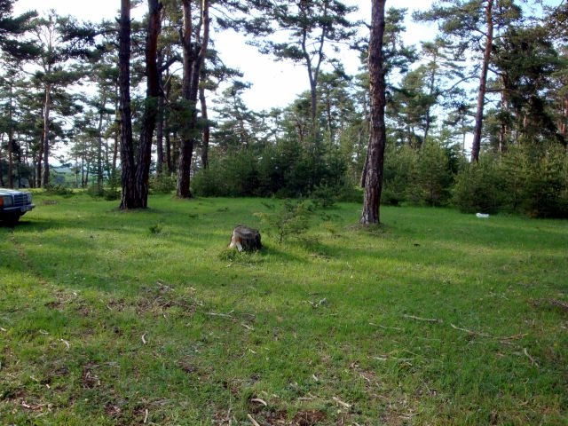 DSC01524.JPG