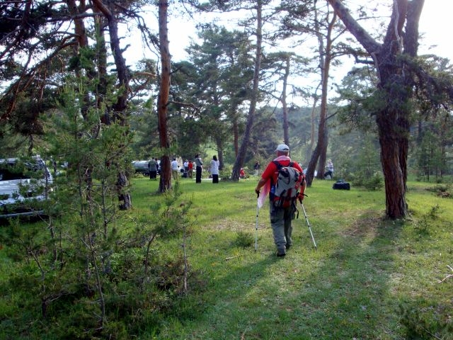 DSC01525.JPG