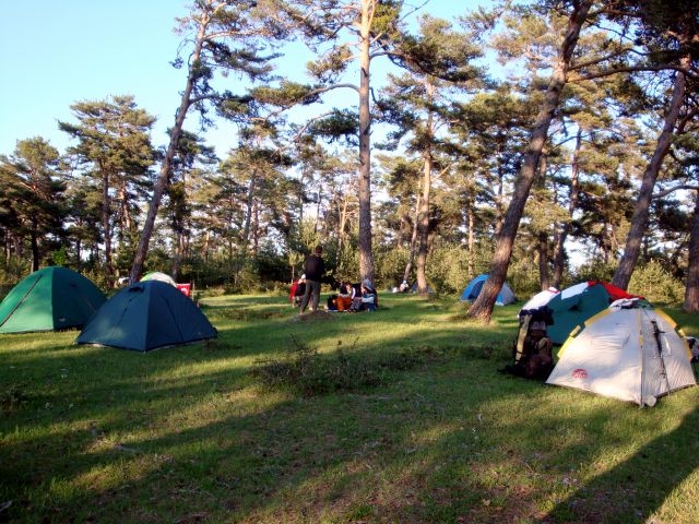 DSC01527.JPG
