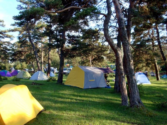 DSC01528.JPG