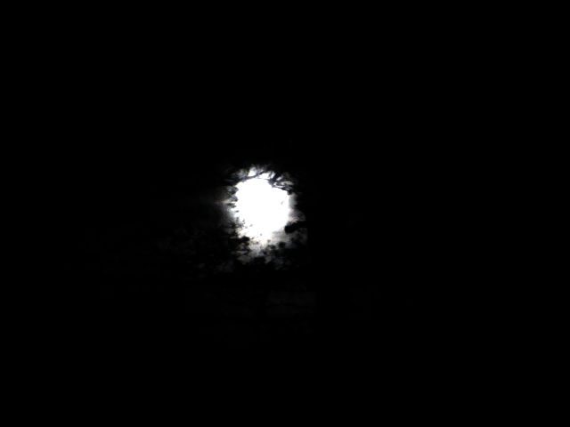 DSC01533.JPG