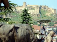 Kastamonu Atatürk ve Şerife Bacı Anıtı