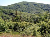 Kastamonu