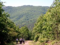 Kastamonu