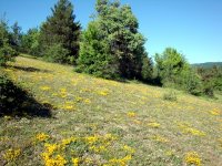Kastamonu