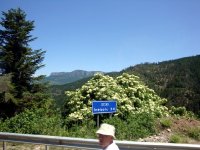 Kastamonu
