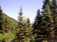 Kastamonu