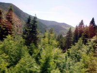 Kastamonu