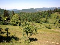 Kastamonu
