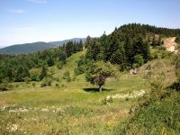 Kastamonu