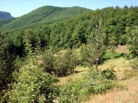 Kastamonu