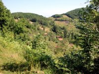 Kastamonu